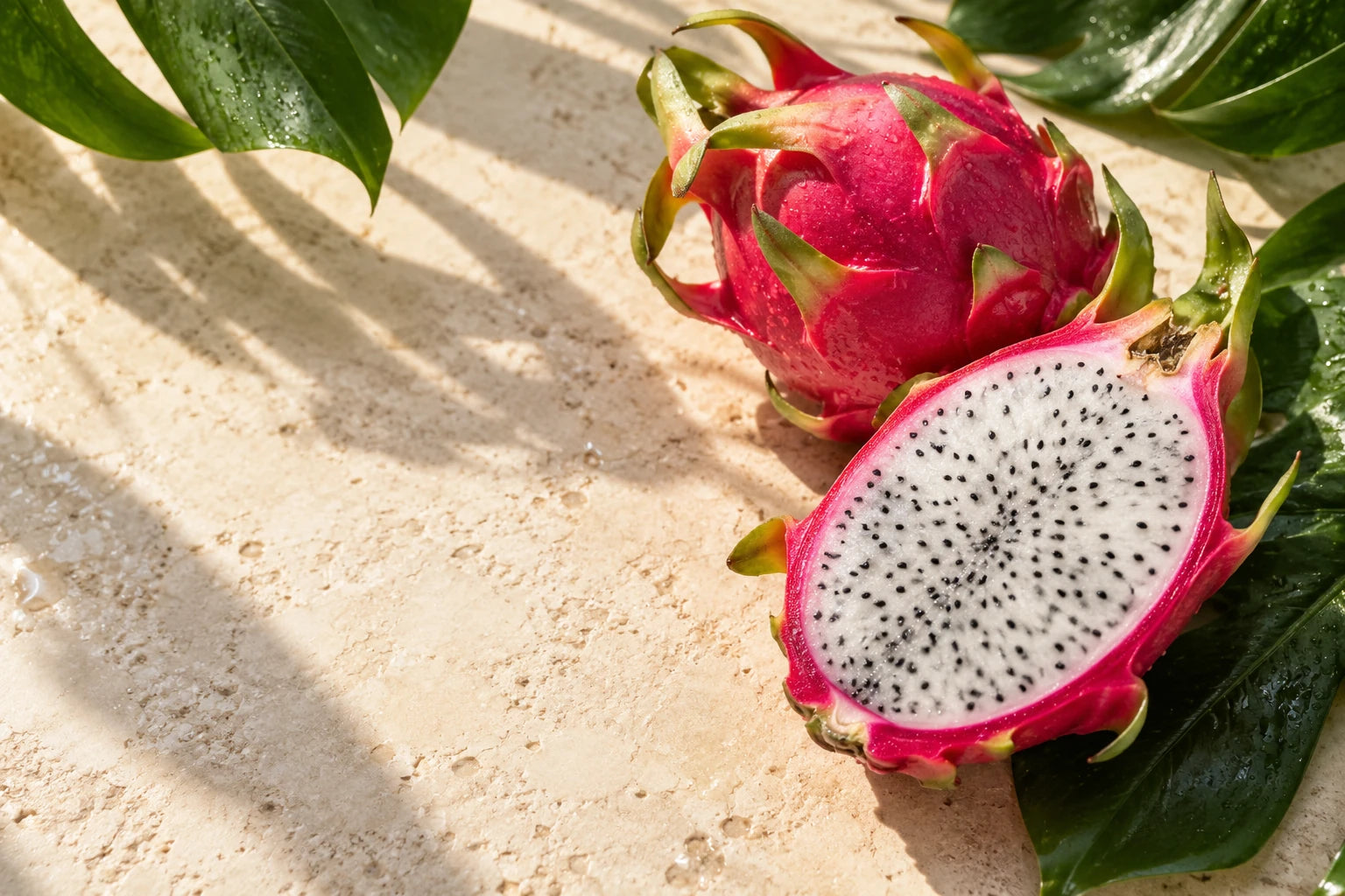 Composition d'ambiance : fruits du dragon et feuillage tropical au soleil
