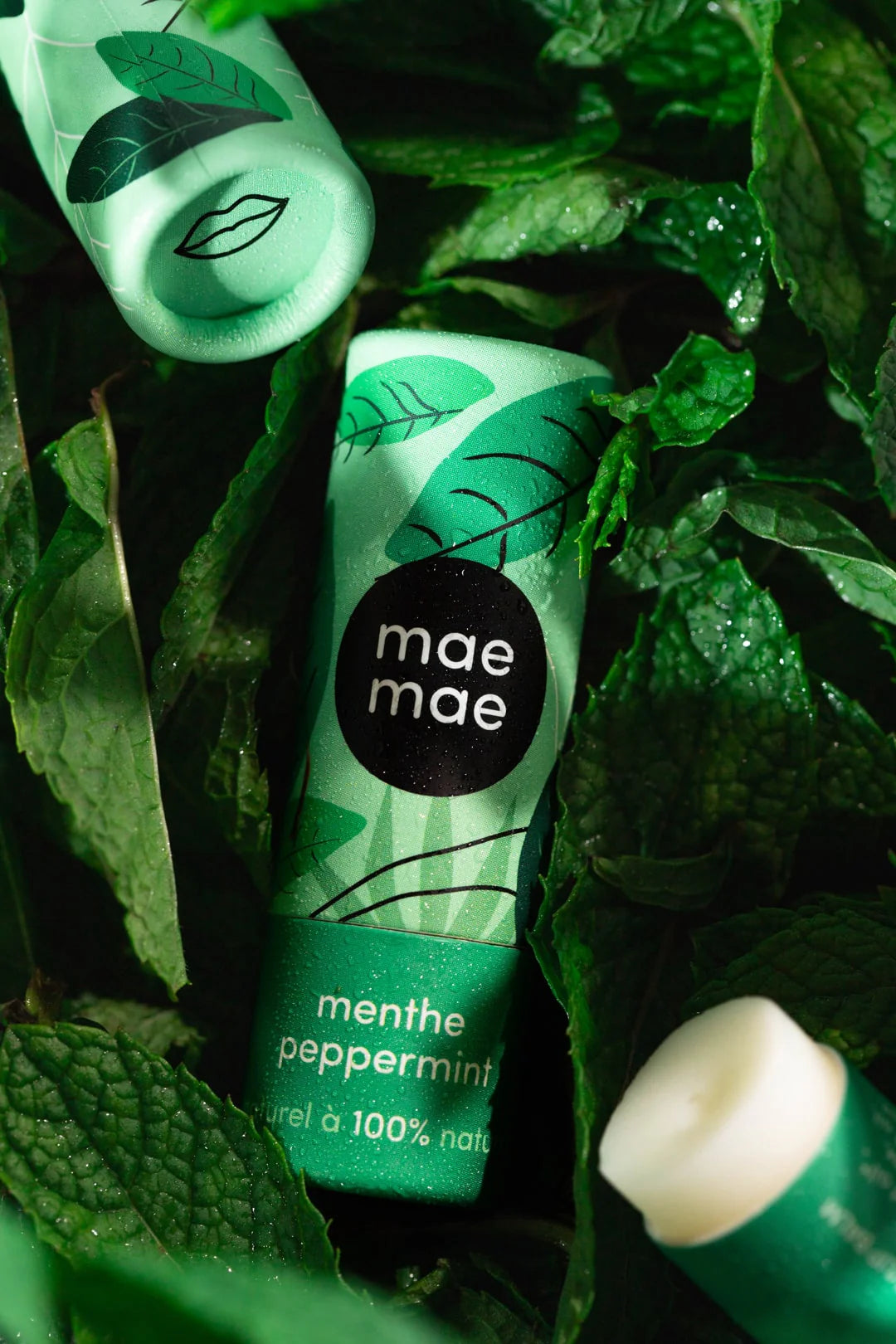 Menthe, baume à lèvre
